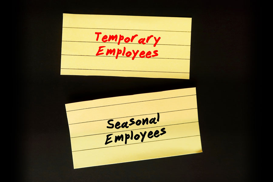 Temporary and Seasonal Employees
